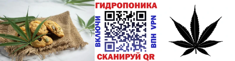 Купить где  Нюрба  Canna-Cookies конопля 