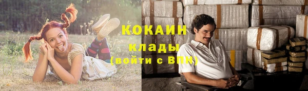 дурь Козловка