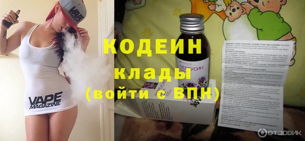 индика Козельск