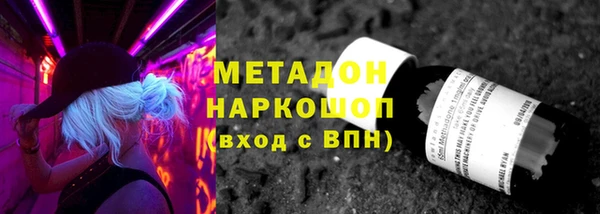 индика Козельск