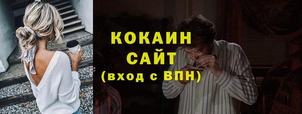 индика Козельск