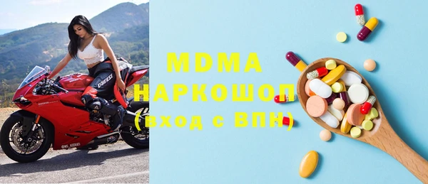 индика Козельск