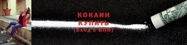 крисы Кодинск