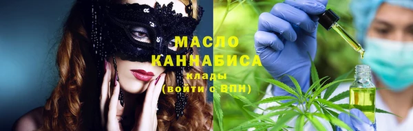 индика Козельск