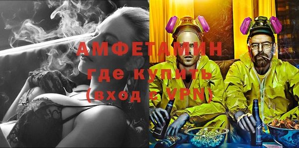 индика Козельск