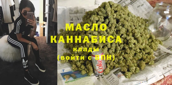 индика Козельск