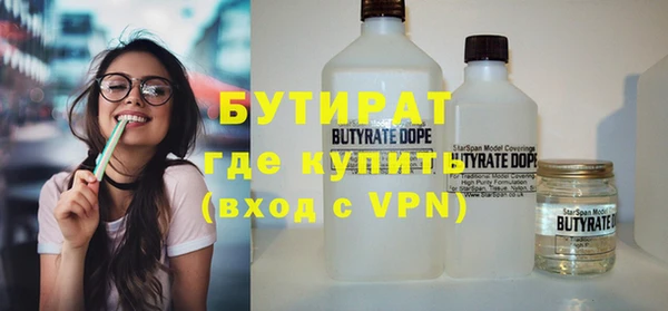 индика Козельск