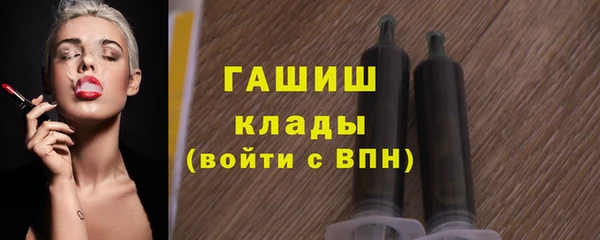 индика Козельск
