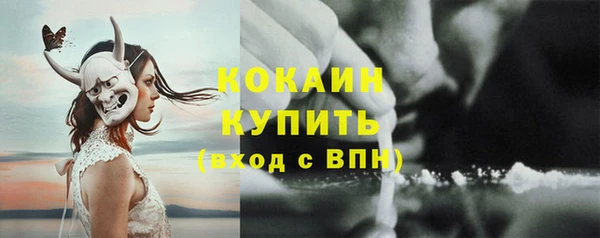 крисы Кодинск
