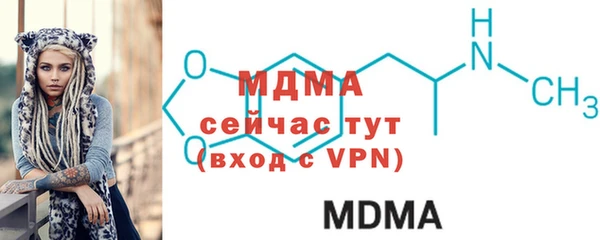 индика Козельск