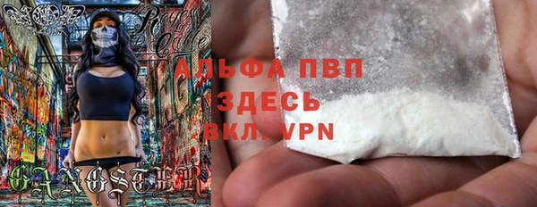 индика Козельск