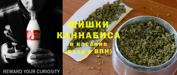 крисы Кодинск