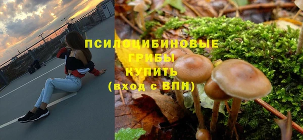 крисы Кодинск
