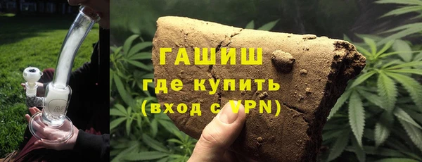 индика Козельск