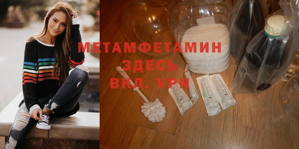 индика Козельск