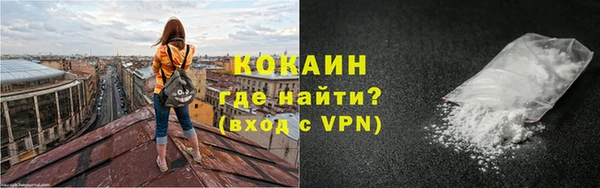 индика Козельск