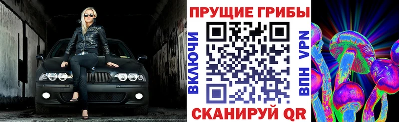 Купить где  Нюрба  Псилоцибиновые грибы GOLDEN TEACHER 